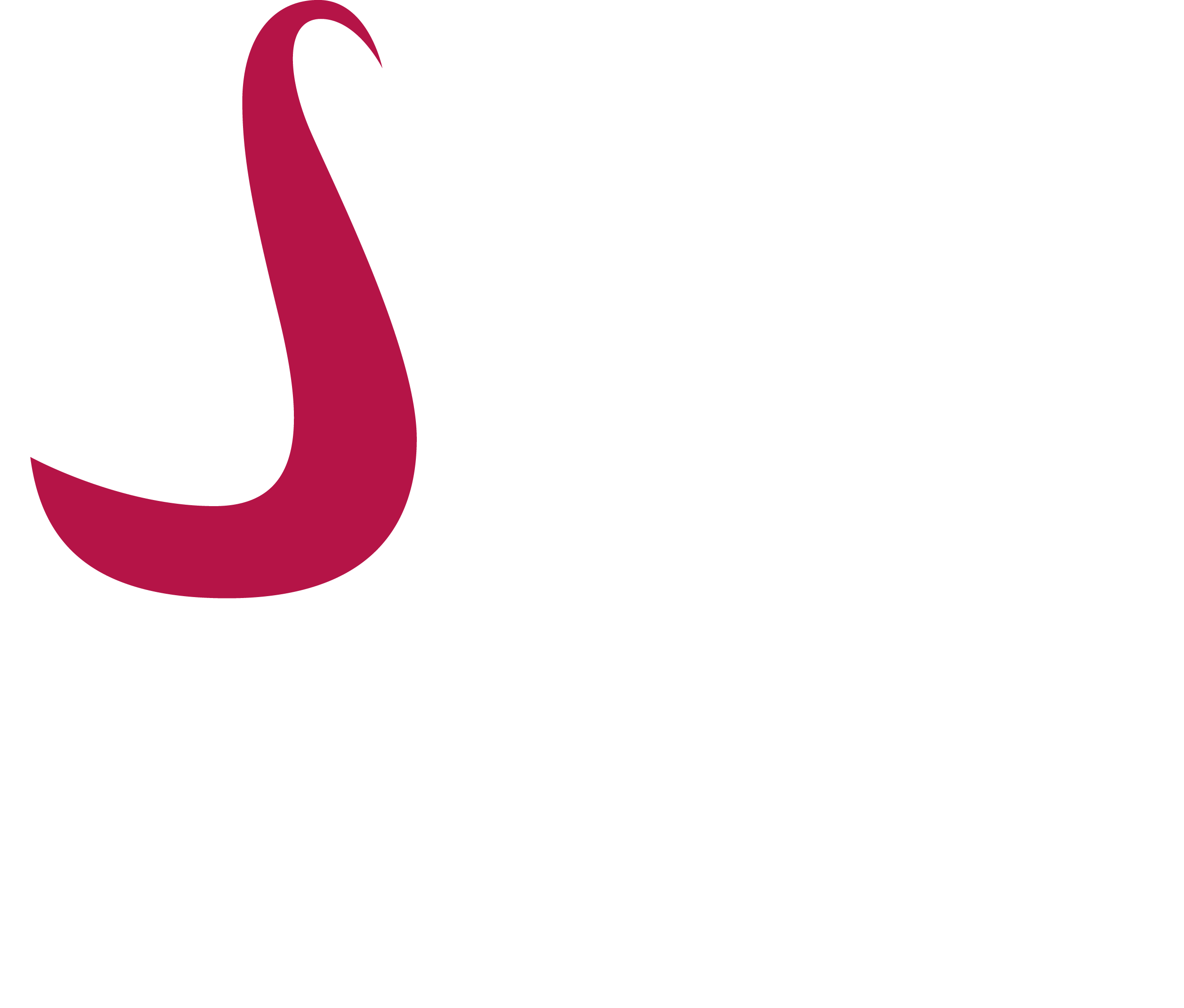 Smart Drinks Logo