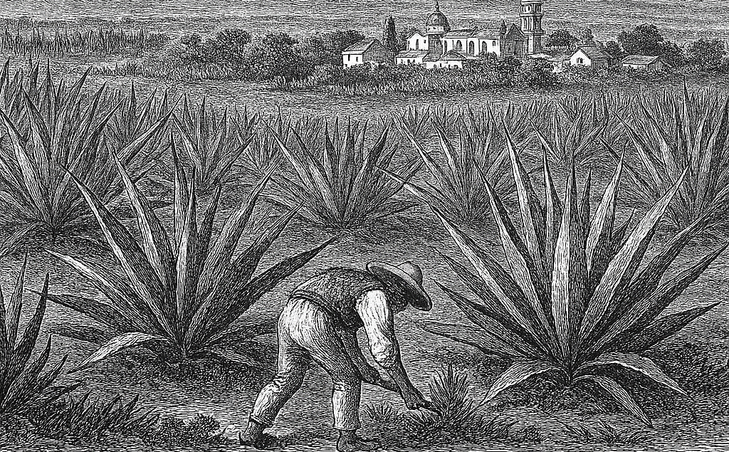El tequila y la Independencia: un brindis con historia mexicana
